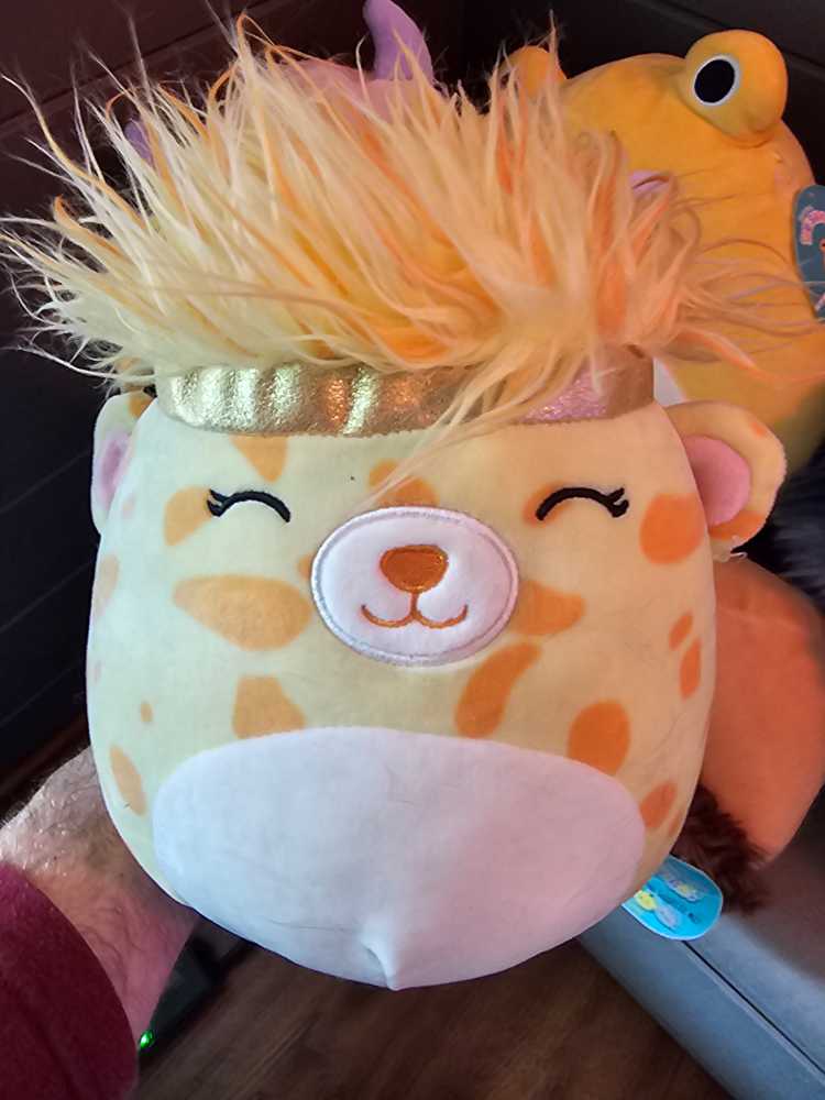 Cara Squishdoo 8” Squishmallow  plush collectible [Barcode 734689275380] - Main Image 2