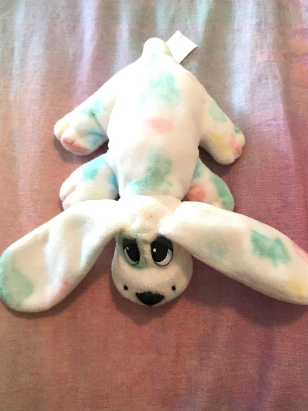 brock the astronaut dog┊8”