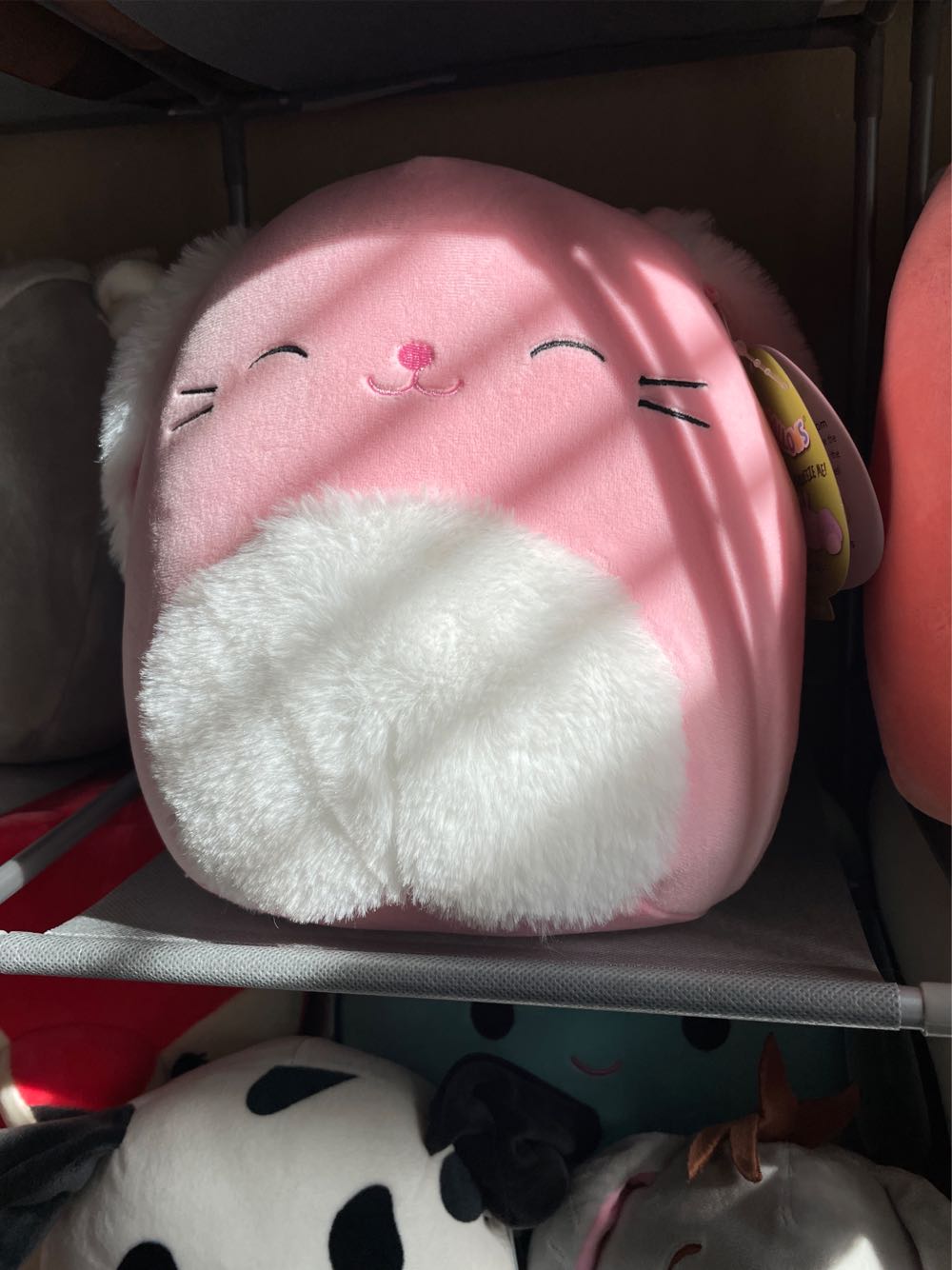 Reginald the Corgi Halloween Squad - 12”