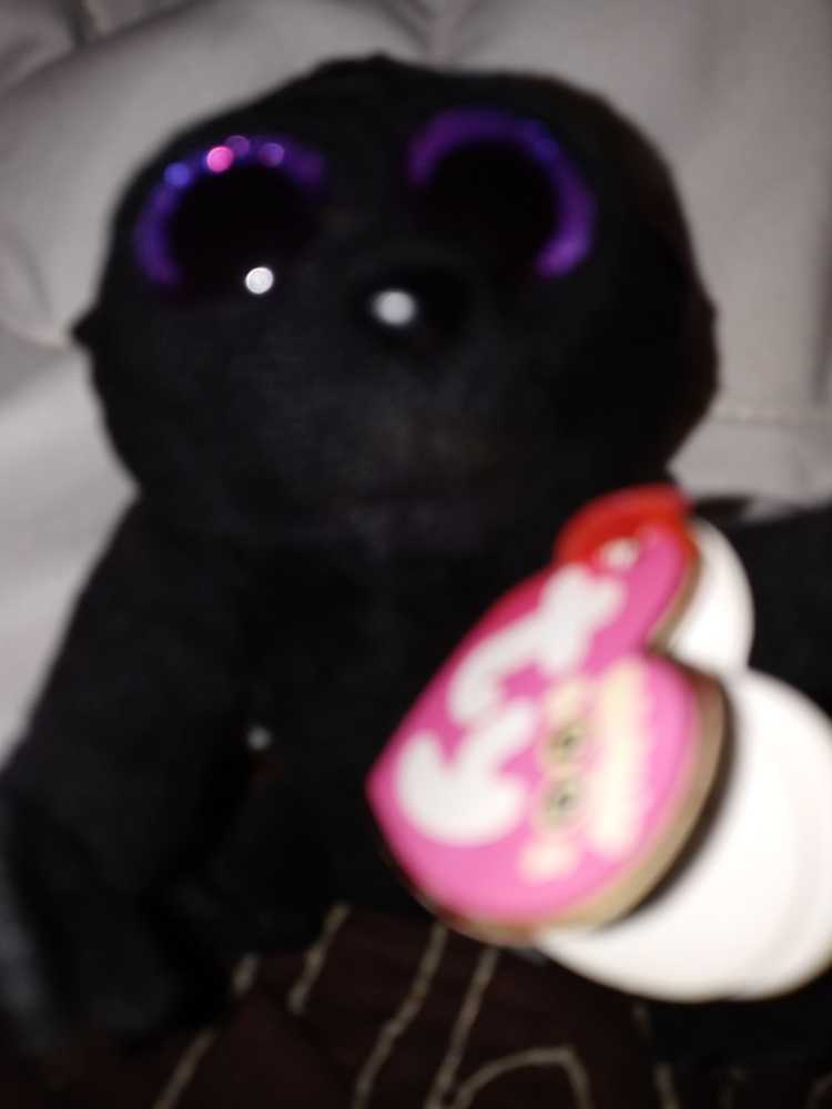 Meanie Babies, Splat The Roadkill Cat (Idea Factory, Series 1)