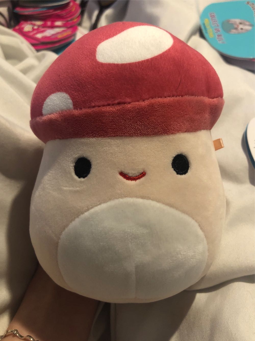 Winnie The Pooh - Small Plush