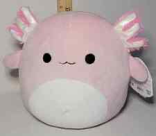 Heidi The Husky Dog Valentines Day Squishmallow 8”