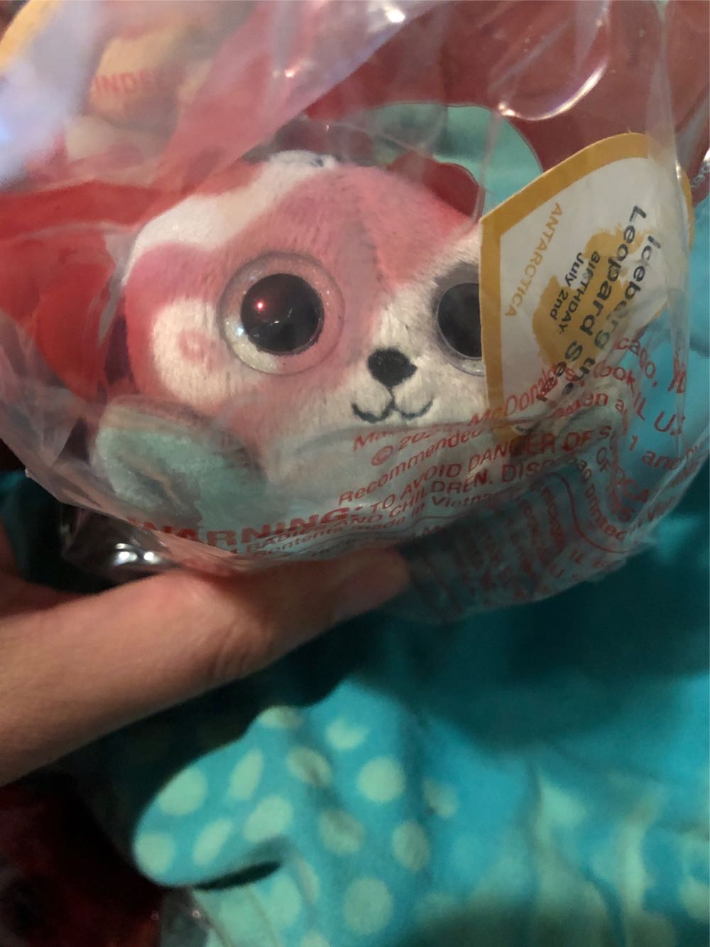 Spot With A Spot 2nd Gen