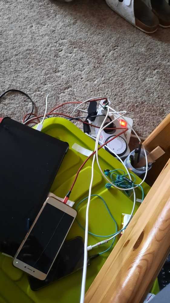 Dover The Bulldog England