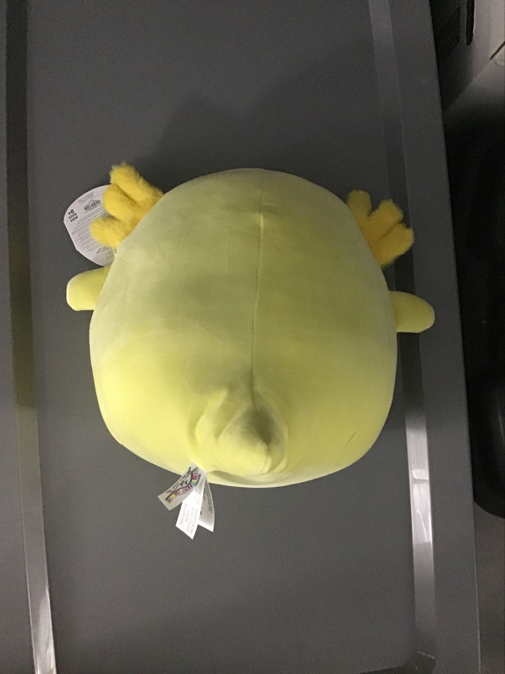 Squishmallows Treyton The Axolotl Treyton Nwt Kellytoy  plush collectible [Barcode 734689407347] - Main Image 2