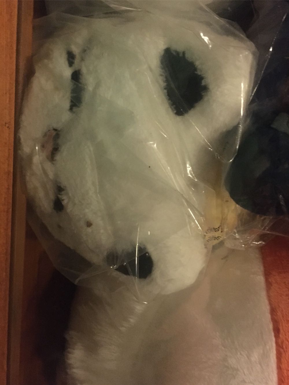 Top Toys Inc Bear With Sunglasses