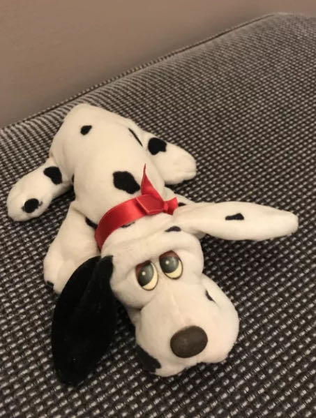 Pity Pets Max the Cat