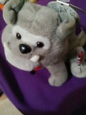 Cherry the Cherry plum