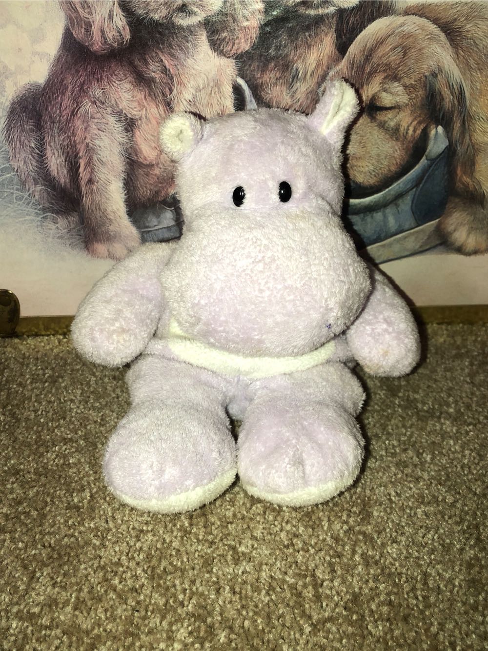 Wade The Hippo - Ty Pluffies  plush collectible - Main Image 1