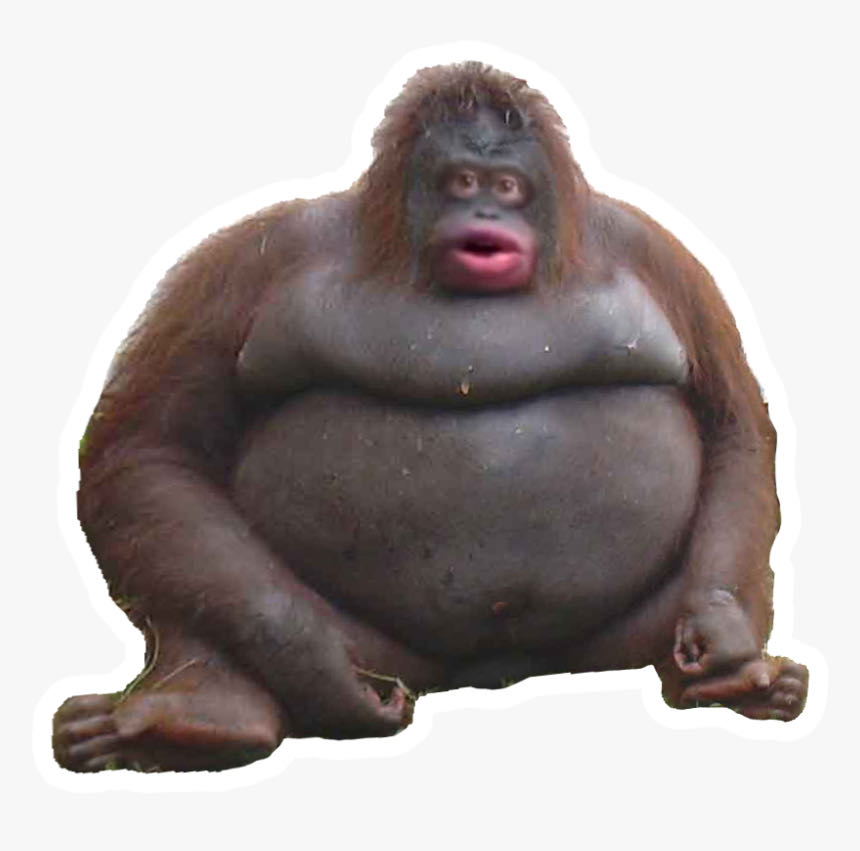 See Dolls  plush collectible - Main Image 1