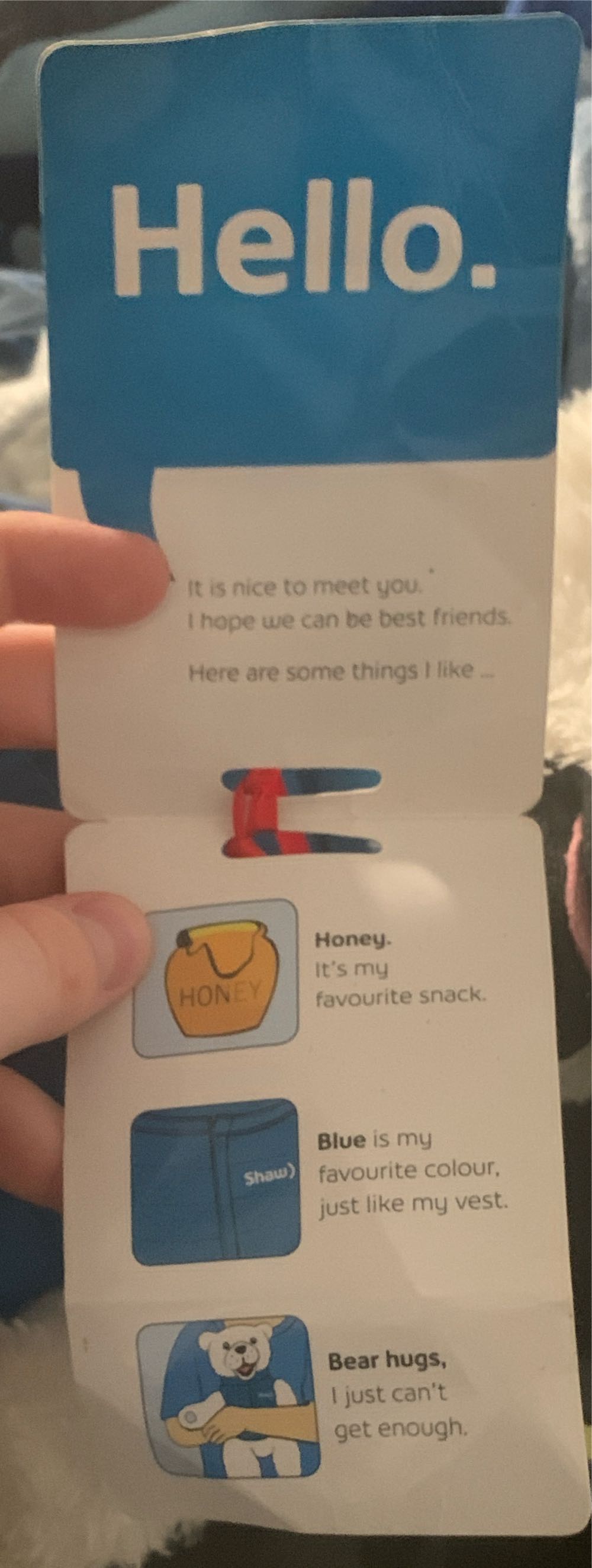 Shaw Teddy Bear White With Blue Logo Vest With Neck Tag  (Canada) plush collectible - Main Image 4