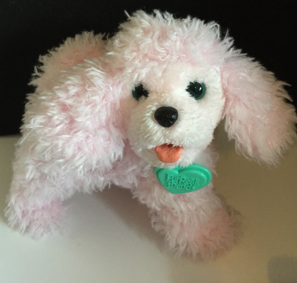 Rufus, I84-9NB0-WBrF