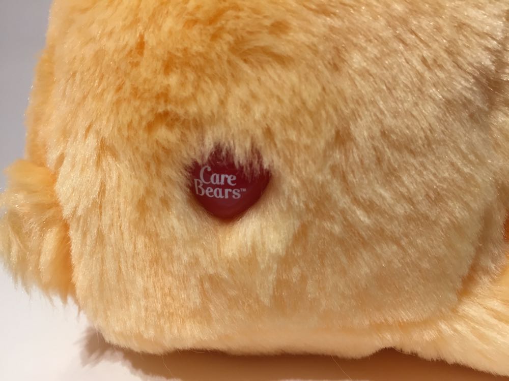 Friend - Care Bear 30cm  plush collectible - Main Image 2
