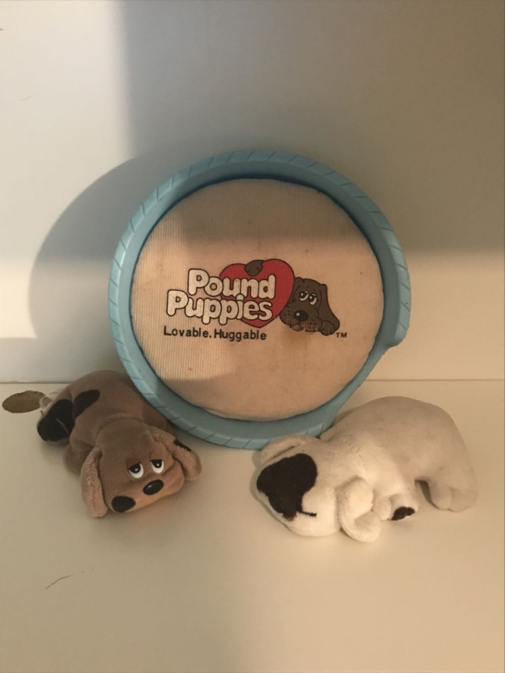 Colleta The 8” Fox Squishmallow