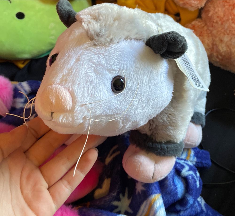 Elda The Ostrich 8”