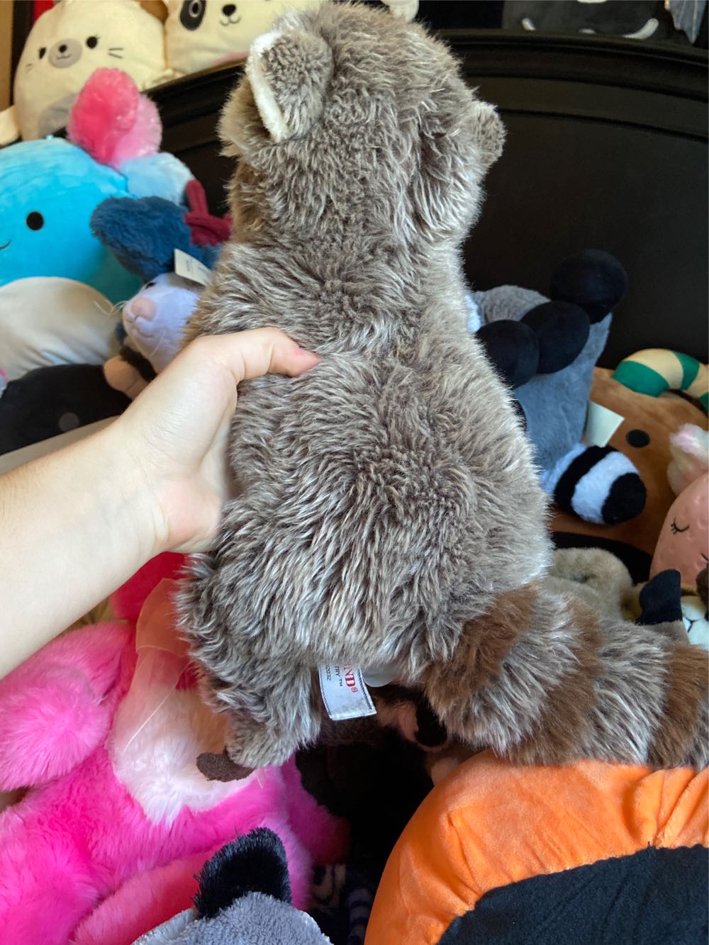 gund raccoon  plush collectible - Main Image 2