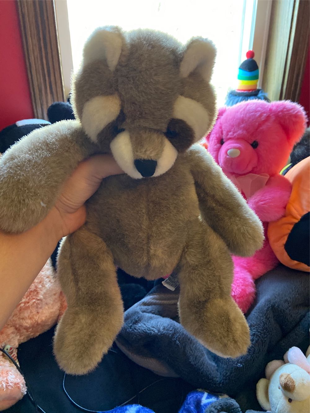 Blue-Eyed White Beanie Cat