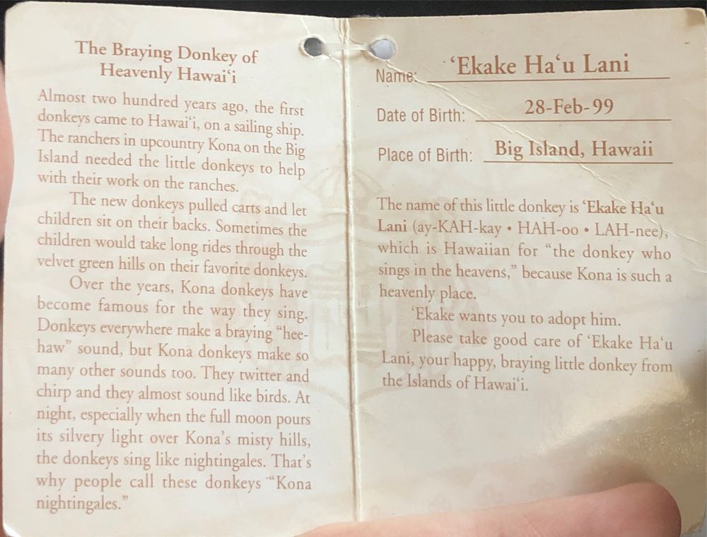 ‘Ekake Ha’u Lani (Braying Donkey) Plush  (United States) plush collectible [Barcode 791344270418] - Main Image 3