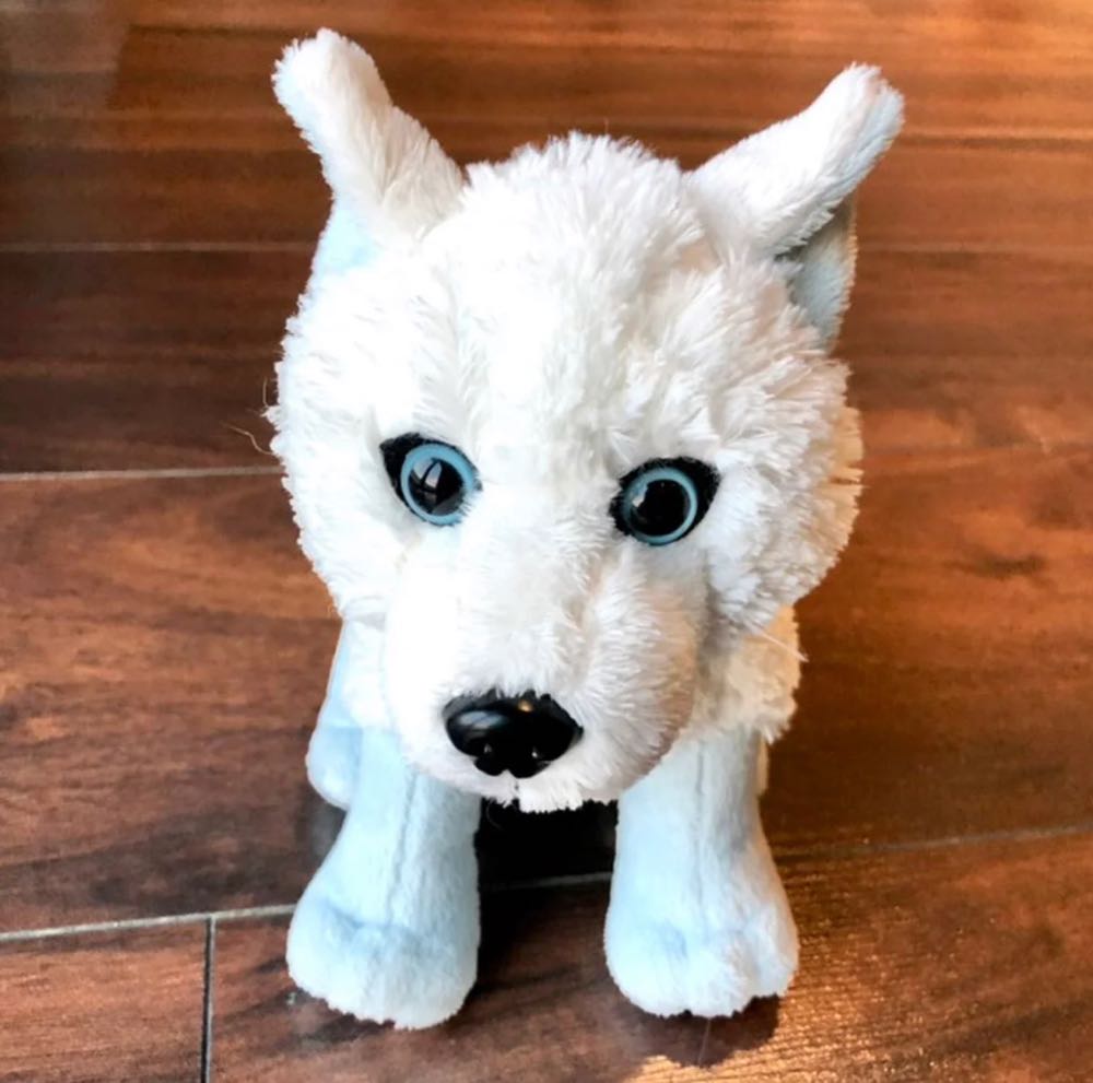 Roger, I84-8.5NB0-TF