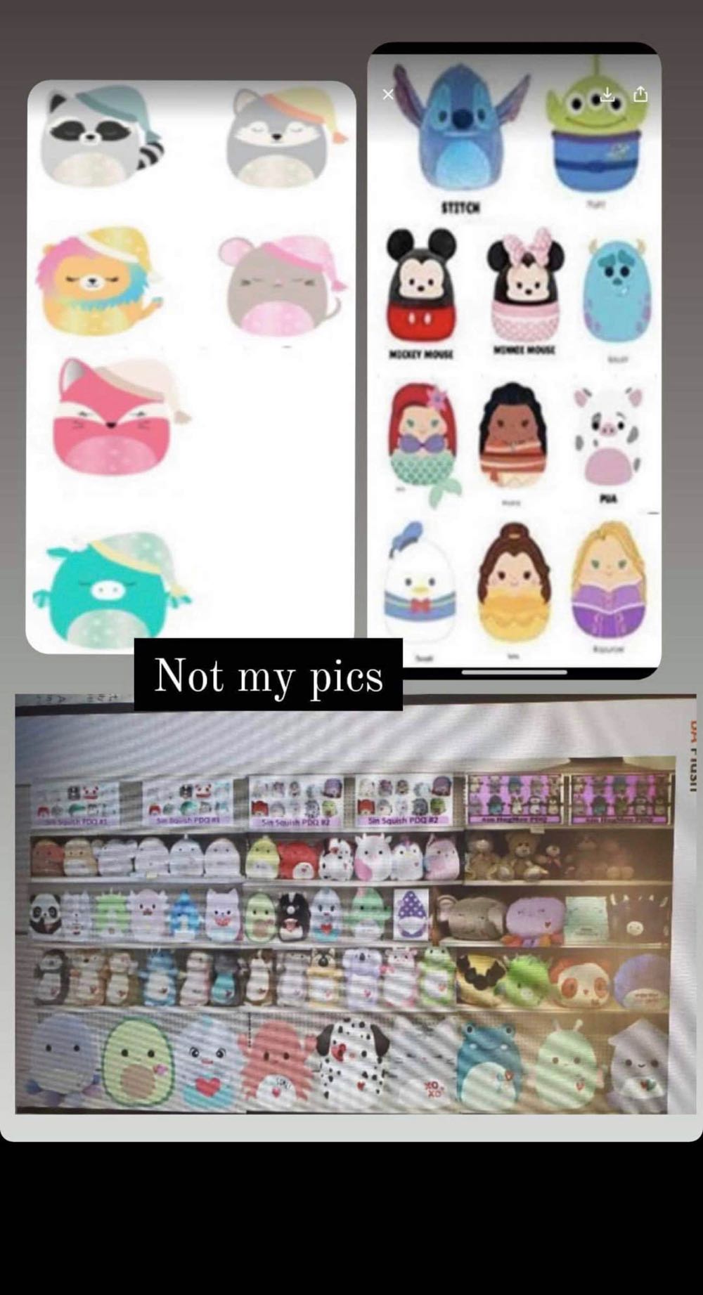 Armydillo Dan Meanies Series 1 Bean Bag Plush Toy From The Idea Factory