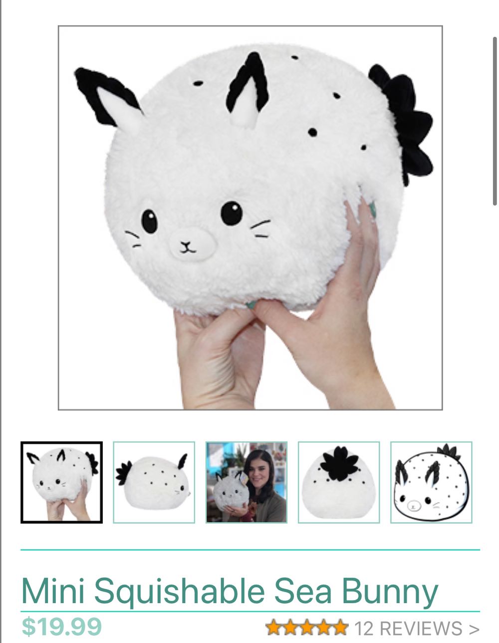 Vincent Van Meow Jumbo #163