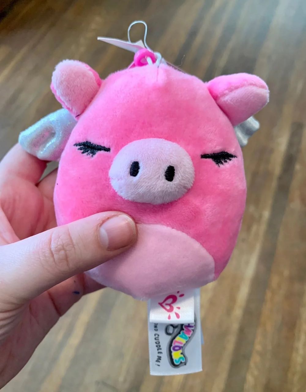 Webkinz Brilliant Bandit