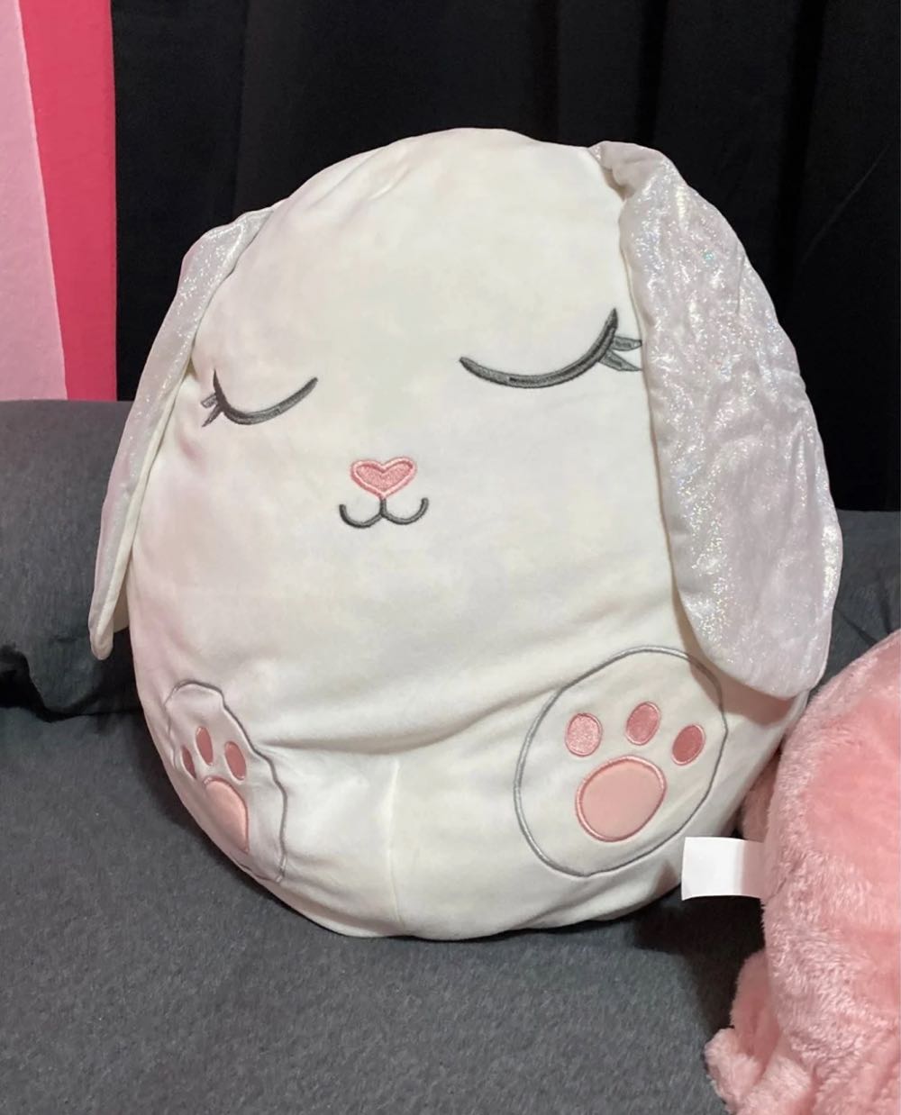 Ty Everest (Paw Patrol)