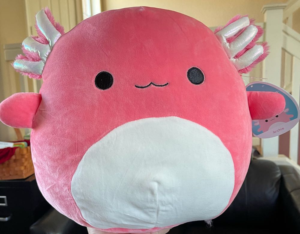 Seal With Hat And Scarf