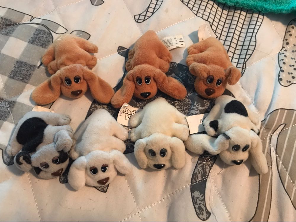 Ty Everest (Paw Patrol)