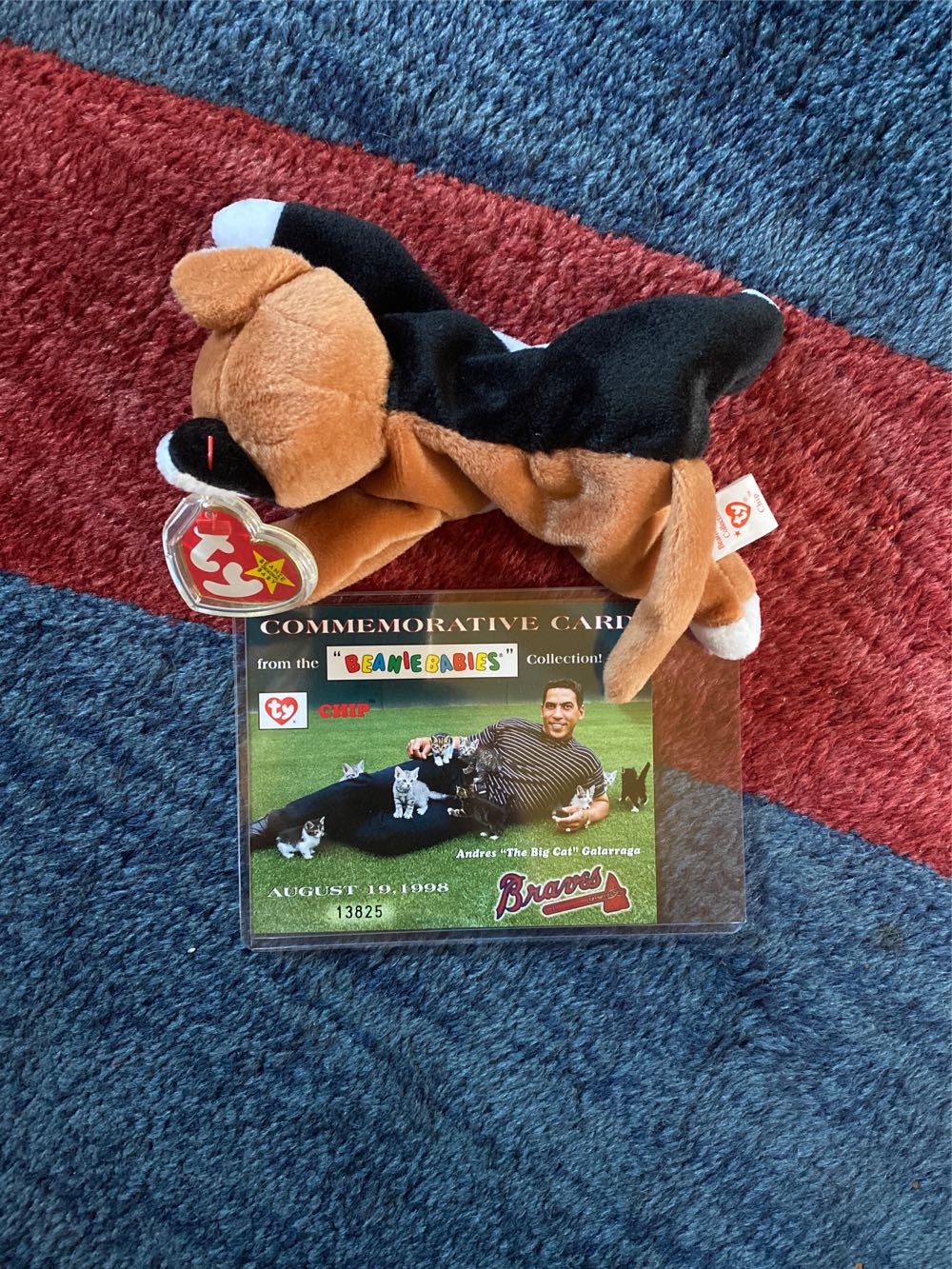 Webkinz Snow Leopard