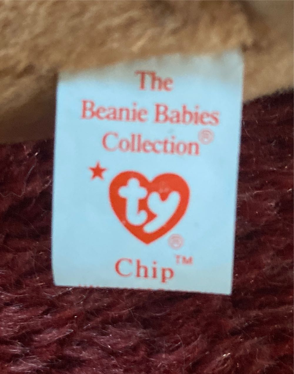 Chip The Cat  (United States) plush collectible - Main Image 3