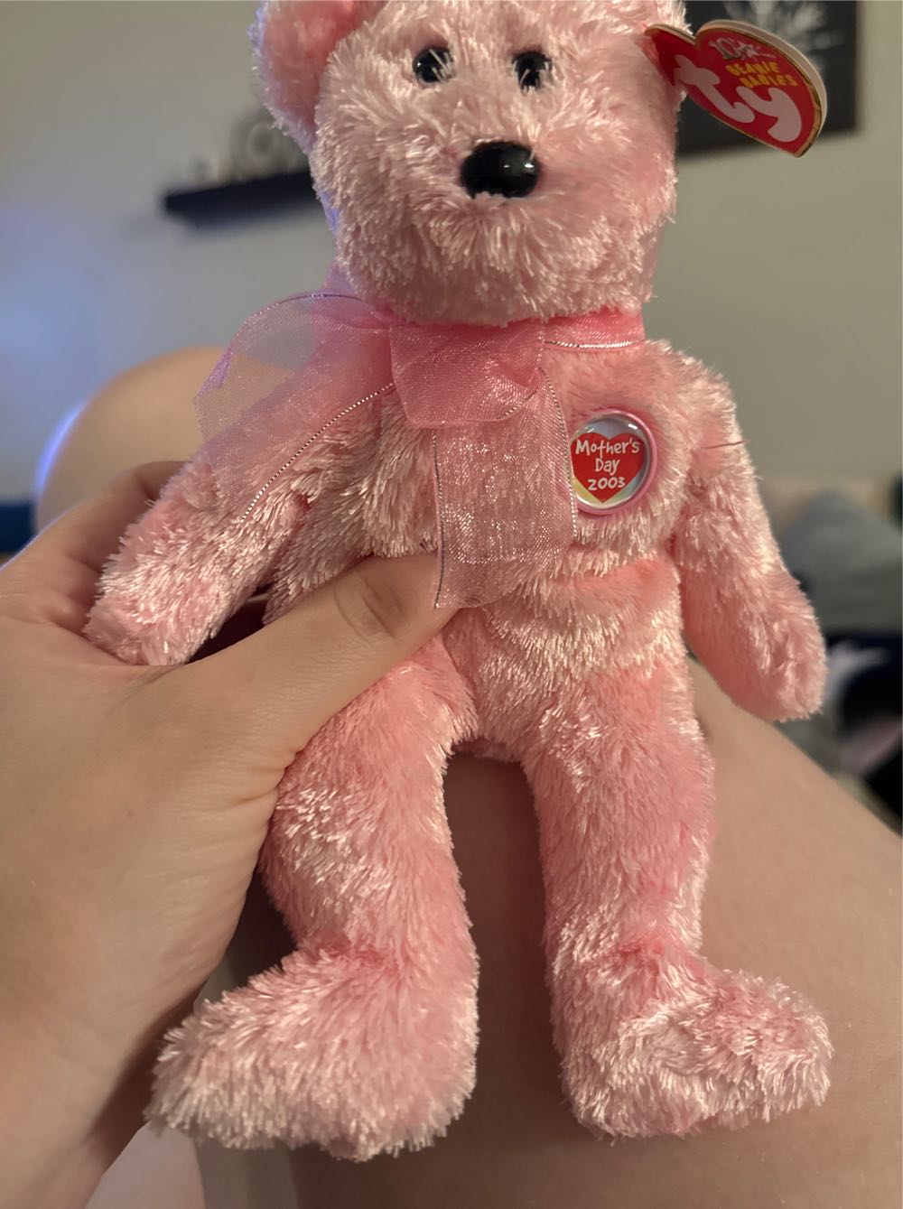 Oakie the Raccoon (Key Clip)