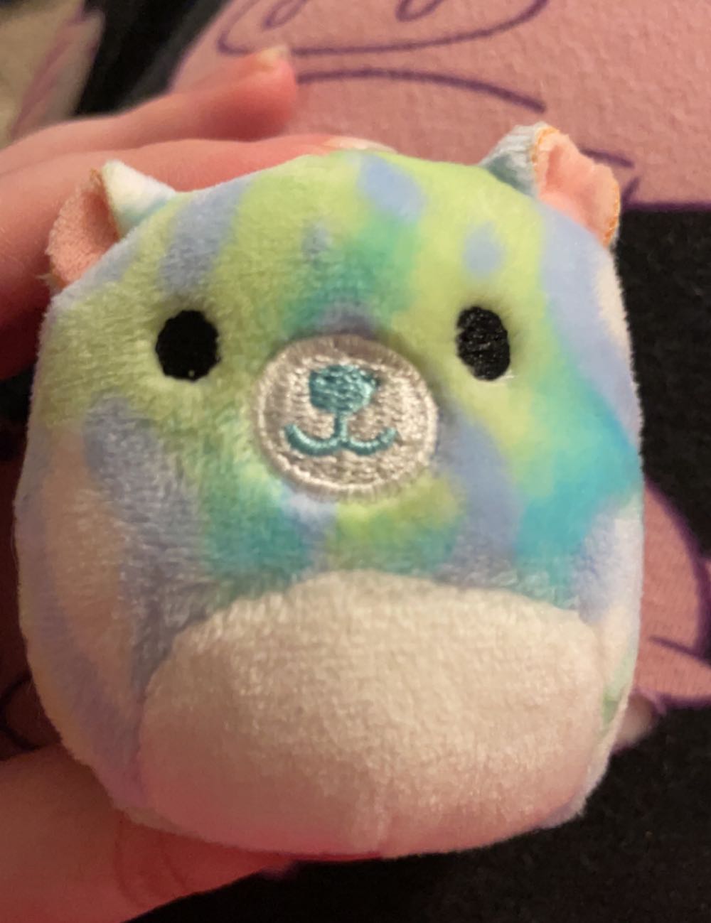 Jabber The parrot (Buddy)