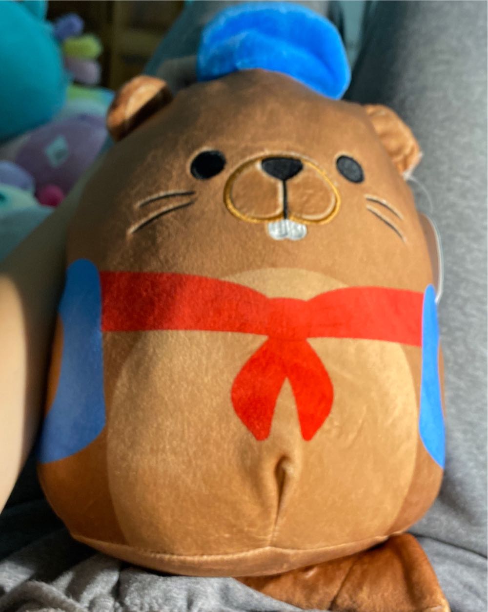 Franky The Bear Ty Beanie Boo