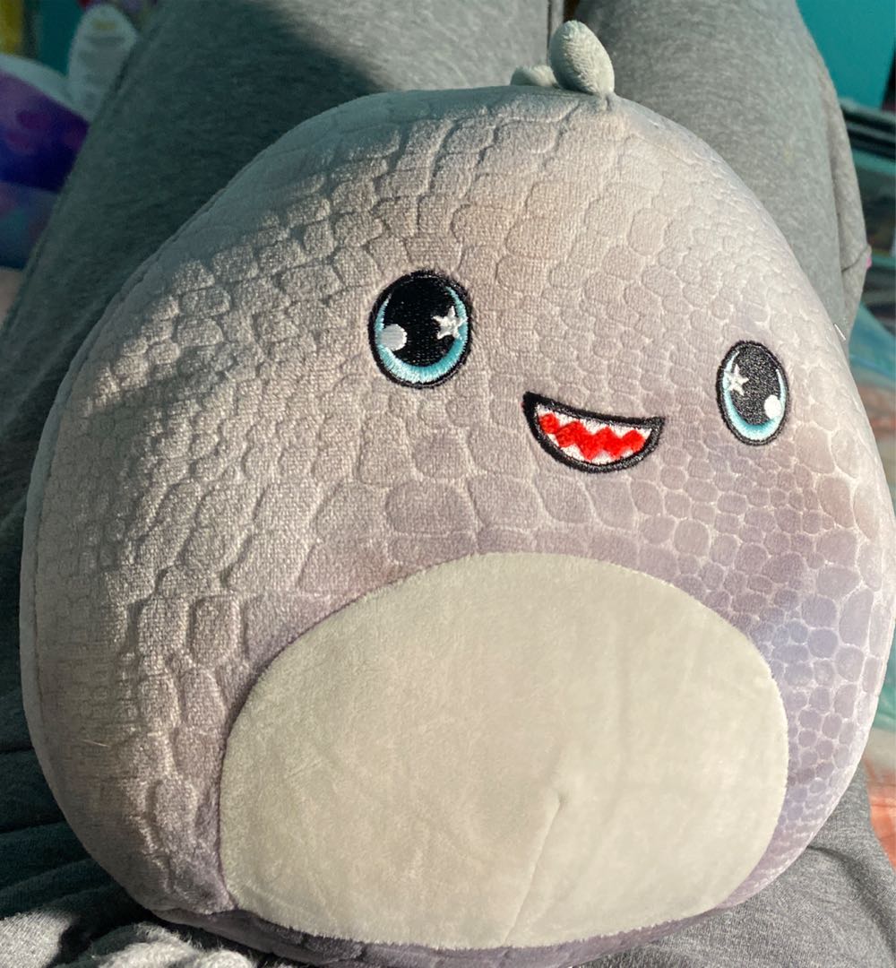 Pricilla The Pink Poodle 