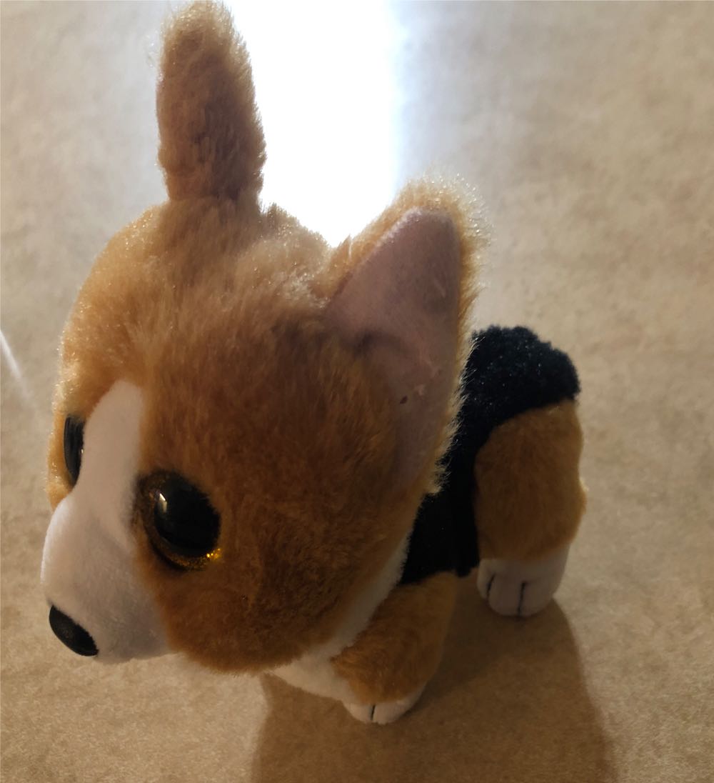 Dog - Colin (Corgi)  (United States) plush collectible [Barcode 008421402427] - Main Image 2
