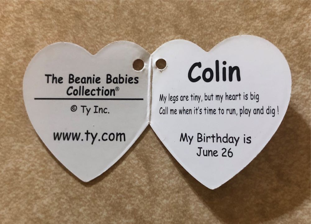 Dog - Colin (Corgi)  (United States) plush collectible [Barcode 008421402427] - Main Image 3