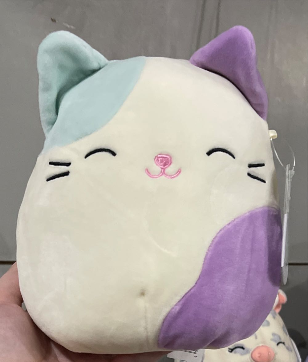 M. C Anniversary 2nd Edition