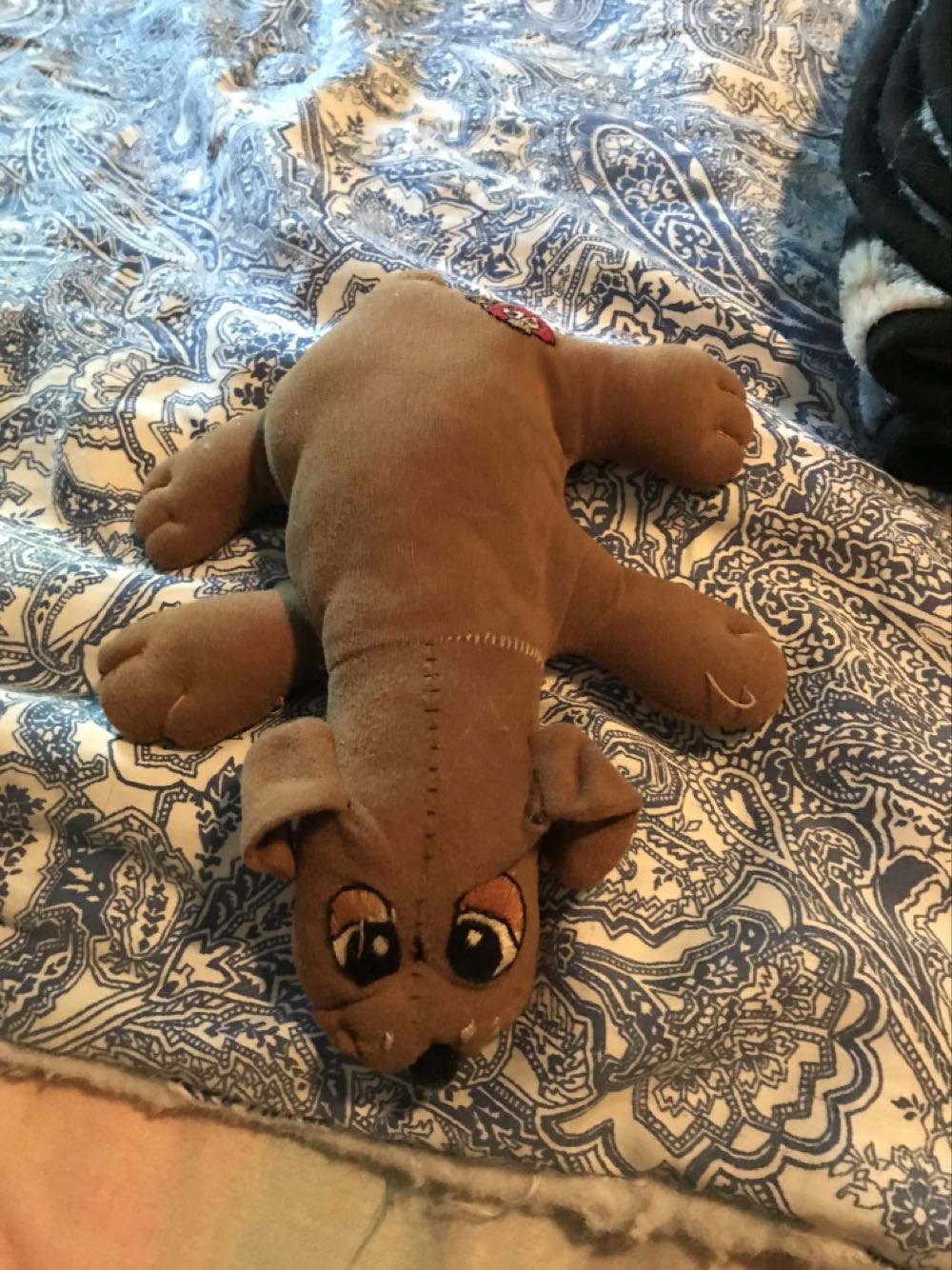 Priscilla The 7” Peacock Squishmallow Baby