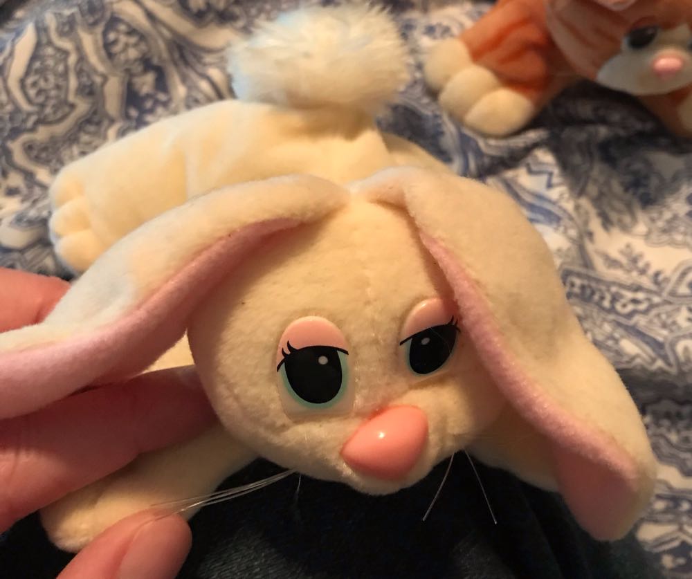 Playful Poses Momma Kitty