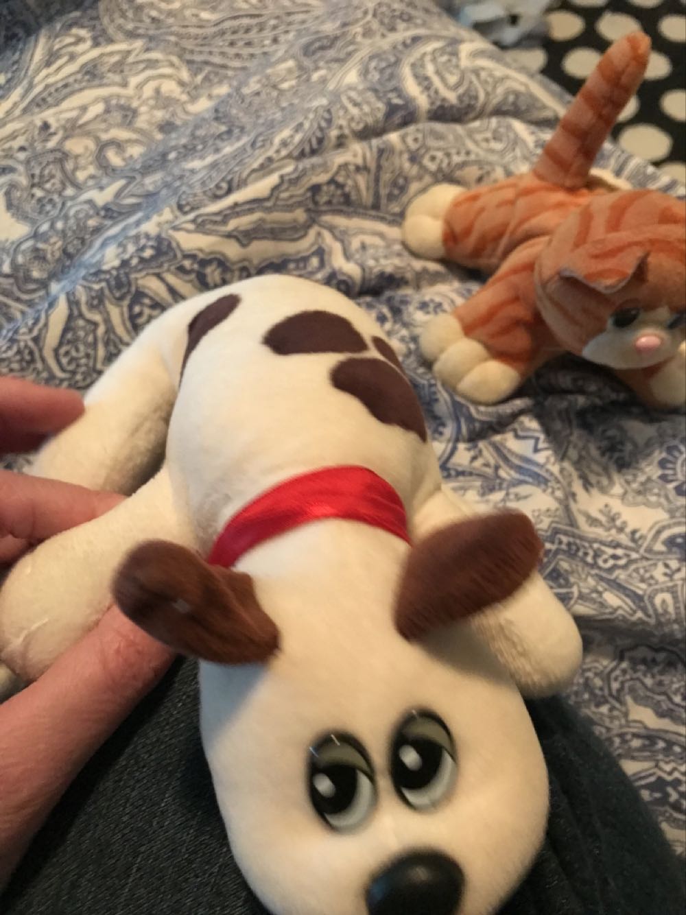 Pokemon Center Grookey Poke