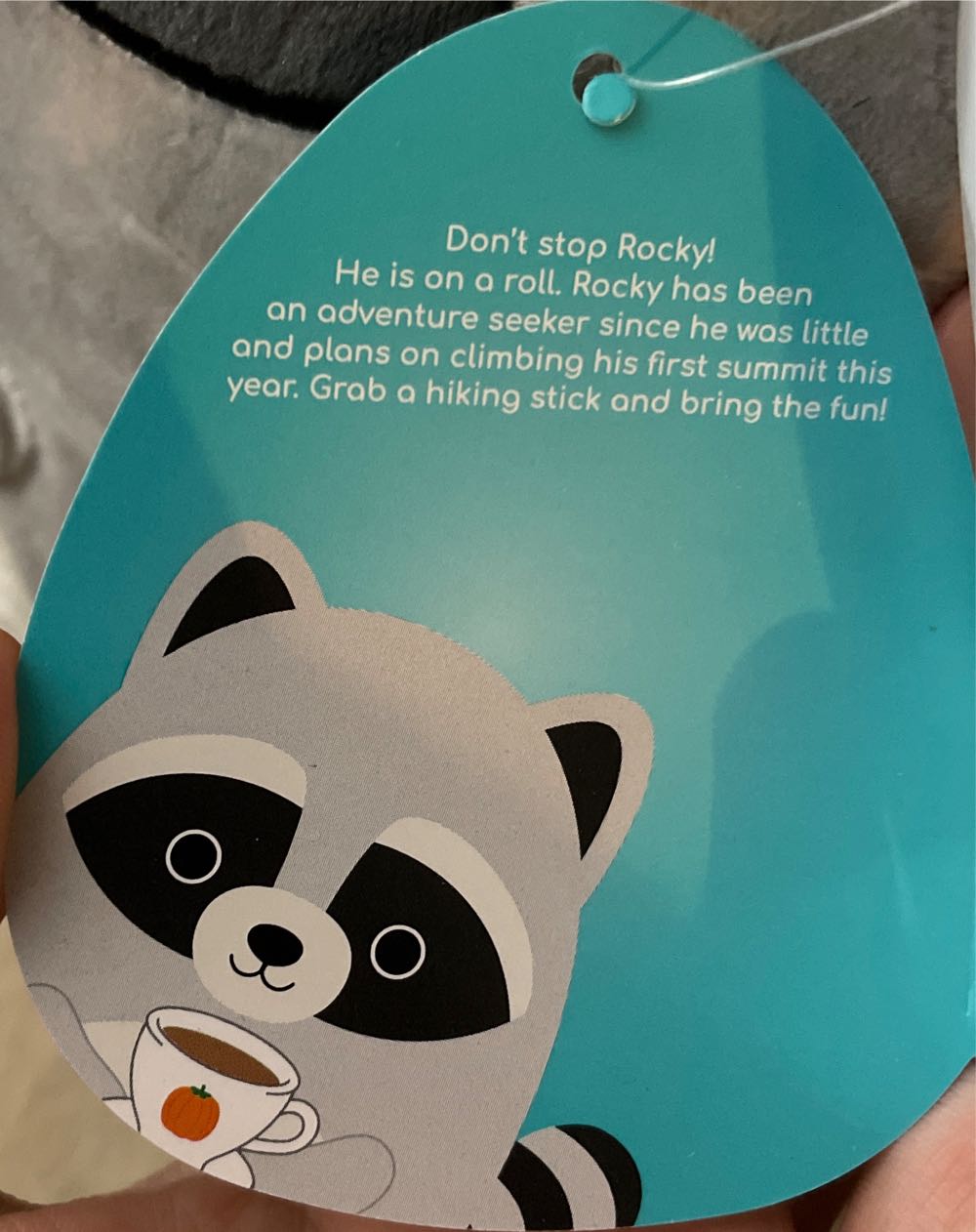 Rocky 8” LISTED  plush collectible [Barcode 734689485277] - Main Image 3