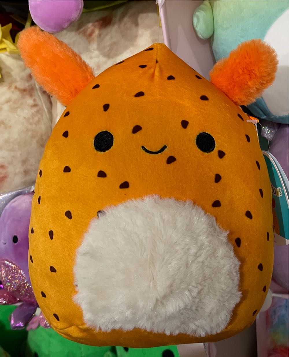 Webkinz Jamaican Dog