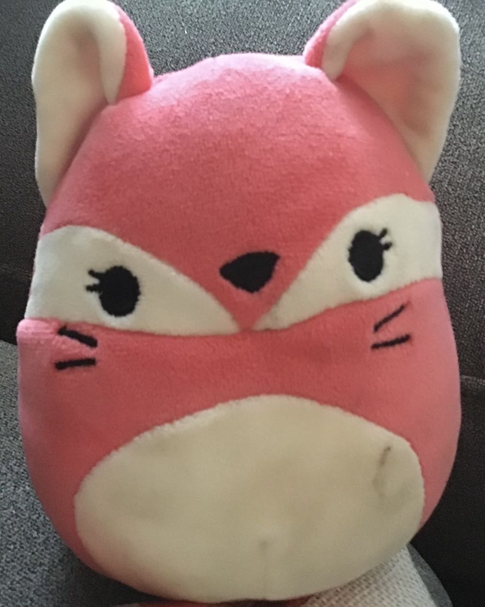 Small gray sitting goat