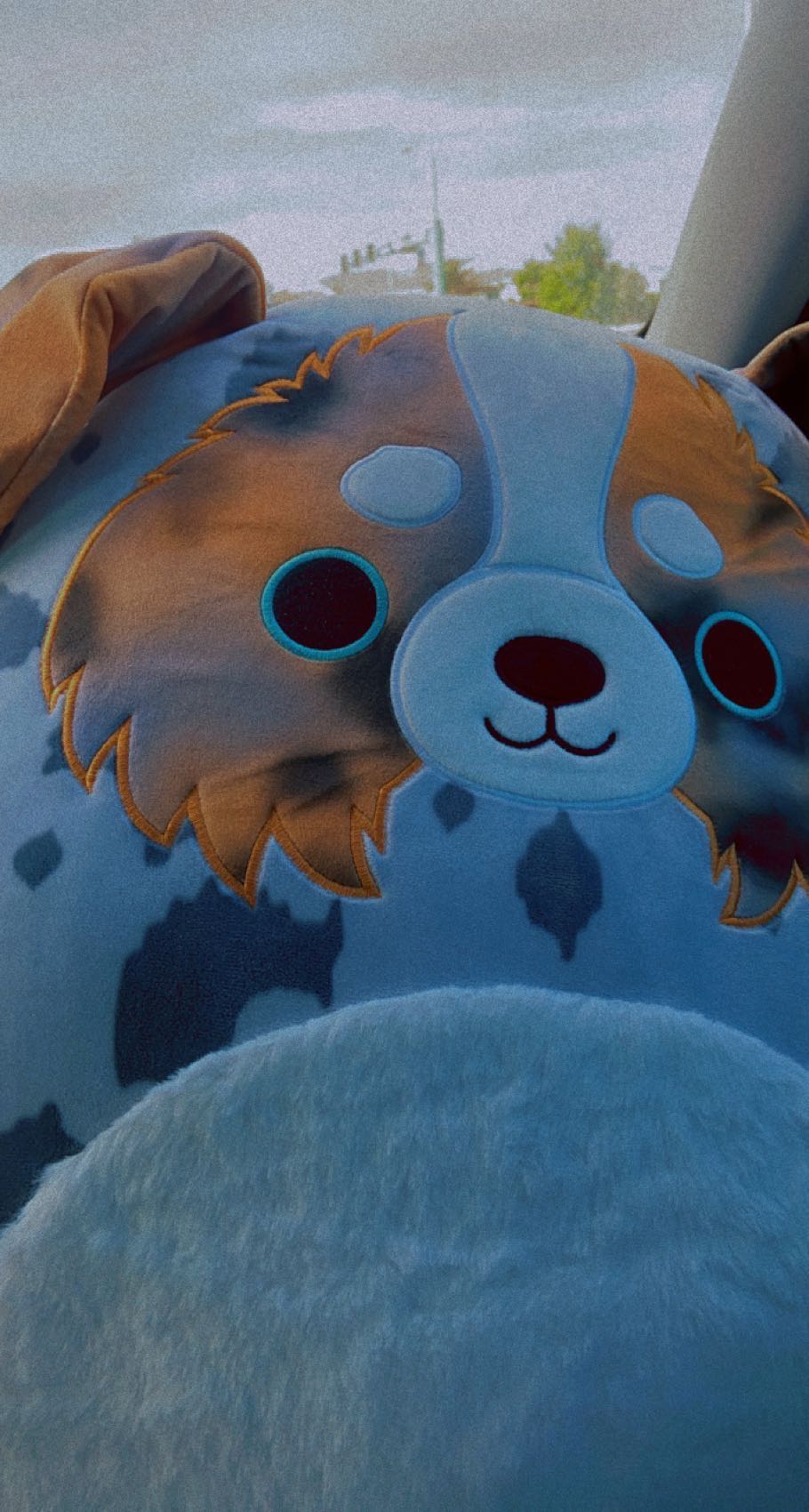 Raylor the Aussie 20”  plush collectible [Barcode 734689480890] - Main Image 3