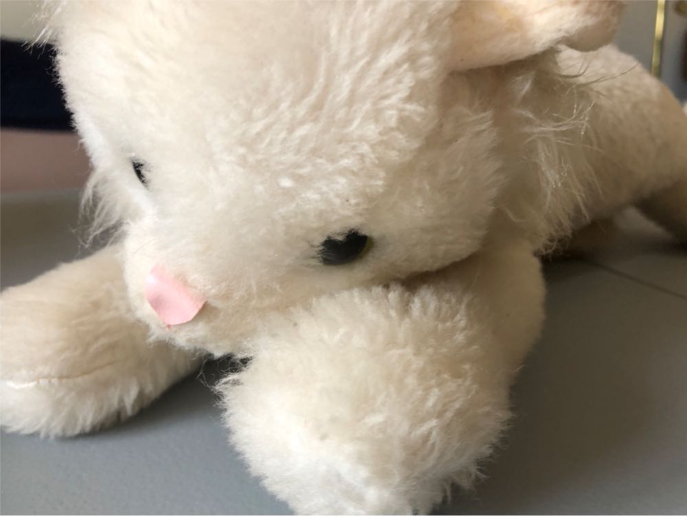 Serene The 8” Squirrel Squishmallow