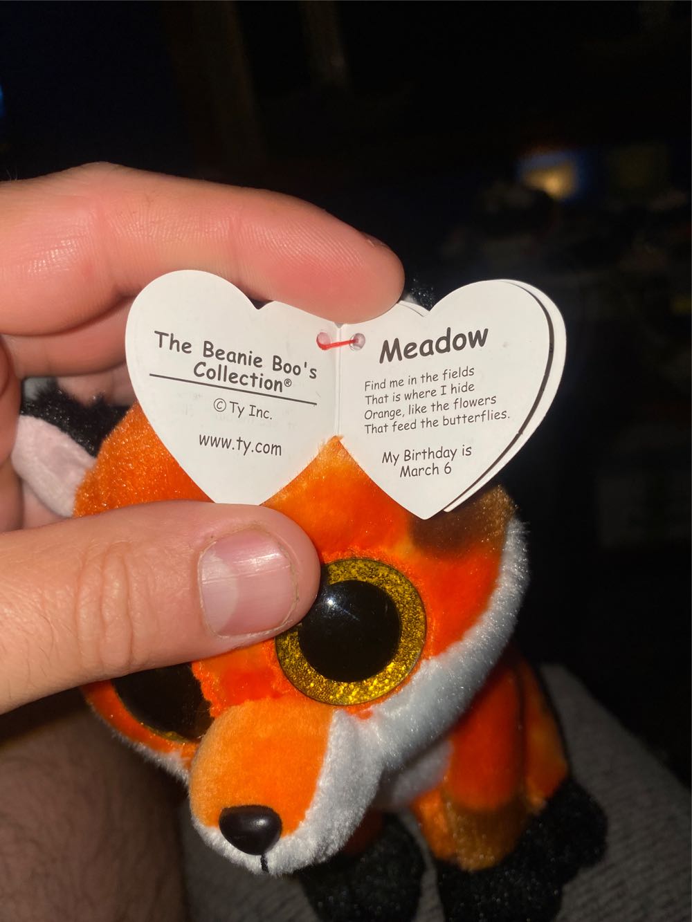 Meadow the Fox - Beanie Boos  (United States) plush collectible [Barcode 008421363797] - Main Image 3