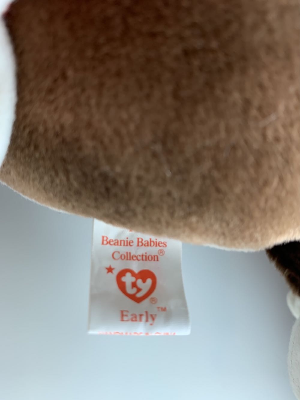 Early the Robin  (United States) plush collectible [Barcode 008421041909] - Main Image 3