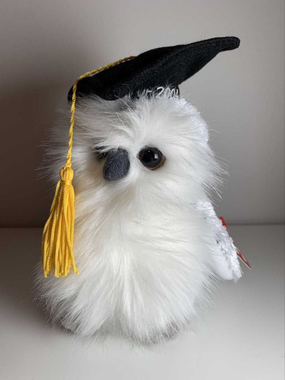 Image 23380