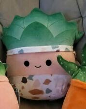 Abena the Succulent 8”  plush collectible [Barcode 734689537051] - Main Image 1